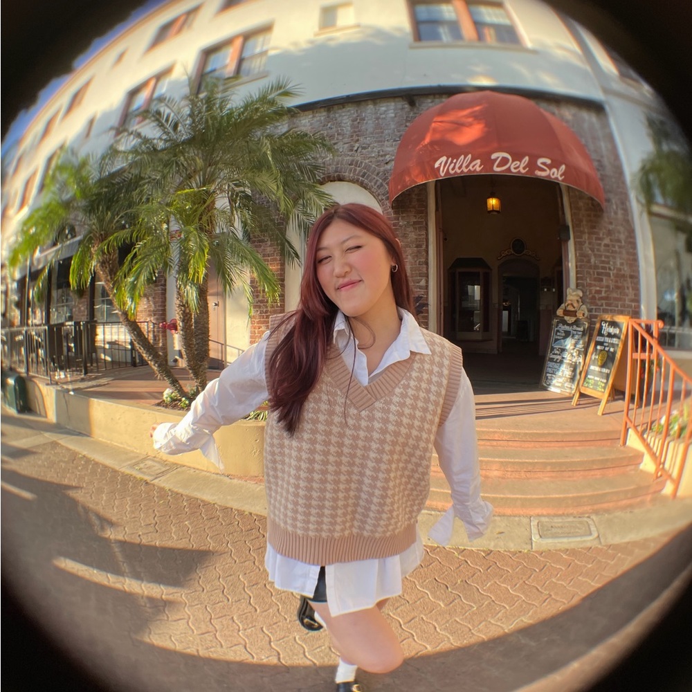 Tan Houndstooth Print Sweater Vest